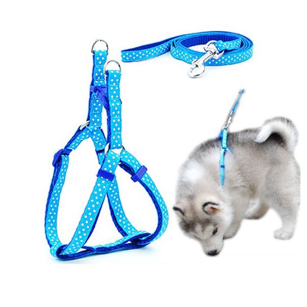 1.0 * 120cm Harnais de chien Laisses 1000pcs Nylon imprimé réglable collier de chien de compagnie chiot chat animaux accessoires animaux collier corde cravate colliers DHL