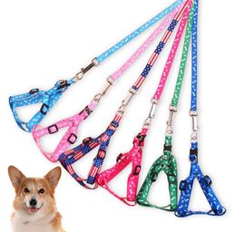 1.0 * 120 cm hond harnas riemen nylon gedrukt verstelbare huisdier halsbanden puppy kat dieren accessoires huisdieren ketting touw tie kraag SN2584