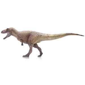 1 35 Haolonggood Dasplatosaurus modèle Jouet dinosaure Formes d'animaux anciens se déplaçant le menton 240513