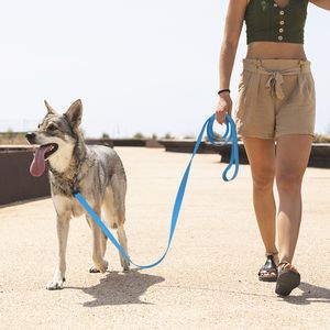 1.5m/3m/5m/10m fuerte 2.5 cm de ancho PVC Dog correa multicolor Durable Durment Water Dog Training and Collar For Pet Dogs Cats