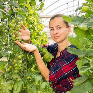 1,67x20m jardin plante Trellis Net Vinon à mailles de travail