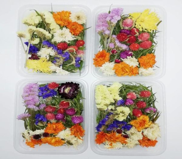 1 boîte 30G Fleur séchée Plantes sèches réelles fleurs pressées pour aromathérapie bougie fabriquant des accessoires de bricolage artisanal7034528