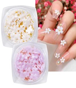 1 boîte de cinq pétales de fleurs autocollants pour ongles couleur changée décoration des ongles 3D blanc Floral perles mélangées boule de gemme charmes accessoires 7198921