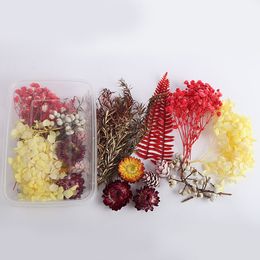 1 boîte Plantes sèches de fleurs séchées réelles pour aromathérapie bougie époxy résine pendentif collier bijourie de fabrication d'accessoires de bricolage