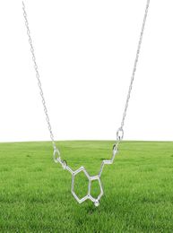 1 chemische moleculaire structuur hanger ketting formule 5ht geometrische prachtige verpleegster Simple Lucky Woman Mother Men039S Family1095334