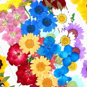1 paquete flores secas Resina UV decorativa pegatinas de flores naturales