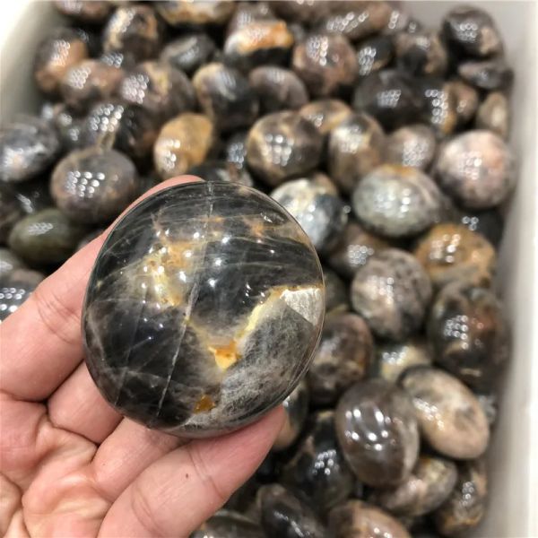 1 morceau en gros de haute qualité de haute qualité noire de lune de lune palme de palmier dégoulinable pierres cristallines guérison reiki