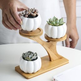 1 Set Céramique Hibou Jardin Pots Moderne Citrouille Flowerpot Pépinière Plante Succulente Pot 3 Bonsai Planteurs avec 3 niveaux Étagère En Bambou Y200723