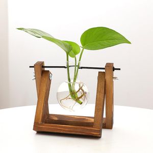 1 set plante terrarium avec support de support de support en bois