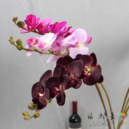 1 STEM REAL Touch Latex Artificiel Moth Orchid Butterfly Orchid Flower for New House Home Wedding Festival Decoration F472 C0924 245R