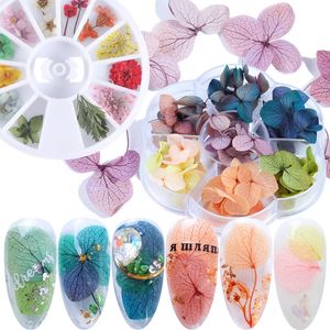 1 rueda de flores secas, decoración 3D para uñas, pegatina de flores naturales gradiente para esmalte de Gel UV, accesorios de manicura, punta LY1524-1