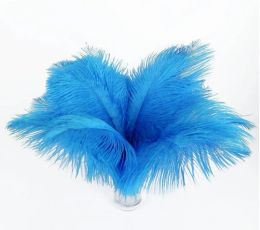 10-12 pouces 25-30 cm multicolore belles plumes d'autruche pour pièce maîtresse de mariage centres de table décoration de fête fourniture livraison gratuite LL