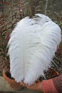 Décoration de fête en plumes d'autruche Fournitures d'artisanat Plume Centres de table de mariage / décoration murale de célébrités Web Accessoires de chapeau RRA