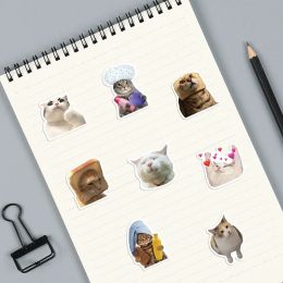 10/25 / 50pcs Stickers de mèmes de chat drôle Graffiti Animal Seccules pour les bagages de voyage Bouteille à eau Scrapbook