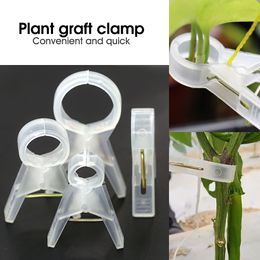 10-500pcs Blancs Fruit and Vegetable Green Houses Plantation de soulevées Camps Garden Plant Tools Support Vine Rootstock Croix