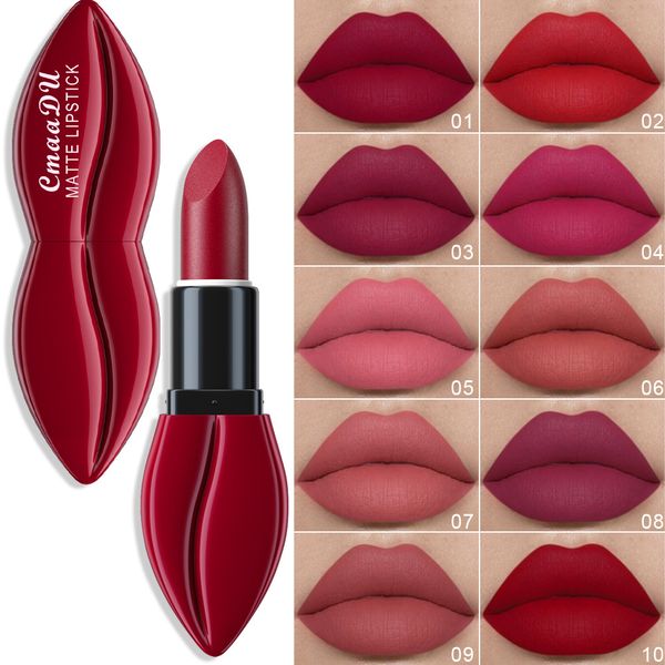 10 couleurs imperméable à l'eau nu mat rouge à lèvres longue durée rouge à lèvres ne se décolore pas Sexy rouge rose velours rouge à lèvres maquillage cosmétique Batom