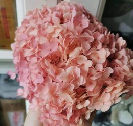 10 GBatch Hoge kwaliteit bewaarde bloem Hydrangea Natuurhoofd voor geschenkdoos Diy True Eternal Wedding Party Decoration1309367