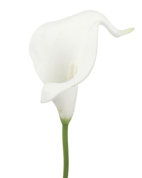 10 cabeza blanca cala lily artificial boda nupcial ramo de ramo de látex toque real decoración de bodas de flores artificiales4524043