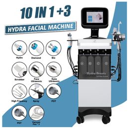 10 en 1 Machine de beauté faciale Hydra Machine de traitement du visage à ultrasons Machine de dermabrasion au diamant pour la médecine esthétique