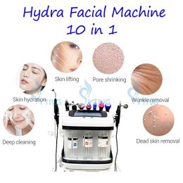 10 en 1 Hydra Facial Machine Microdermabrasion Nettoyage de la peau Hydro Dermabrasion RF Raffermissement de la peau Enlèvement de la tête noire Lifting du visage