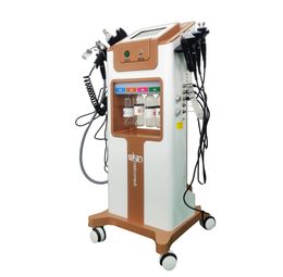 10 sur 1 équipement de beauté multifonctionnel Salon Personnel Machine de visage cutané REJUNNUATION FACIALS HYDRO MACHINE