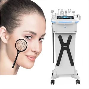 10 IN1 Multifonction Equipment de beauté Équipement facial Oxygène Spray ultrasons Cold Scurbber Blanc White Skin Care Facial Clean Machine de gestion intégrée