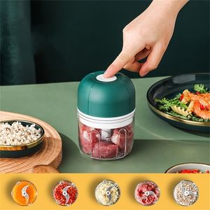 100 / 250 ml Cuisine électrique Chopper Ail Masher Hachoir à viande Mini alimentaire Ail Légumes Chopper Pulvérisateur rechargeable 220423