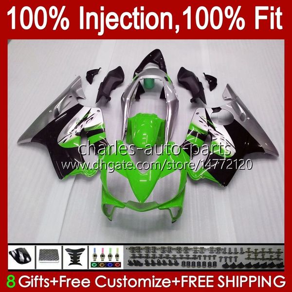 PAQUEES OEM 100% FIT FOR HONDA CBR 600F4 600FS 600 F4 FS CC 99-00 CUERPO 54NO.233 600CC CBR600 F4 CBR600F4 99 00 CBR600FS 1999 2000 Molde de inyección Cuerda verde plateado