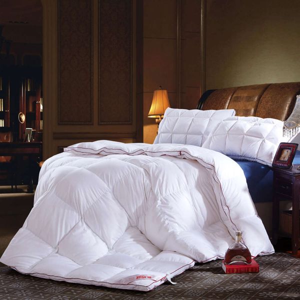 Parure de lit en duvet d'oie 100%, ensemble de literie, King, Queen, double taille, rose, blanc, couverture plus épaisse et chaude pour l'hiver