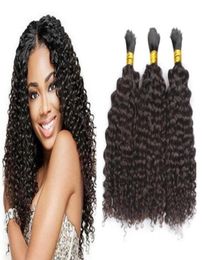 100 cheveux humains en vrac crépus bouclés sans trame cheveux mongols en vrac tressage naturel noir 3 pièces lot25544773044694