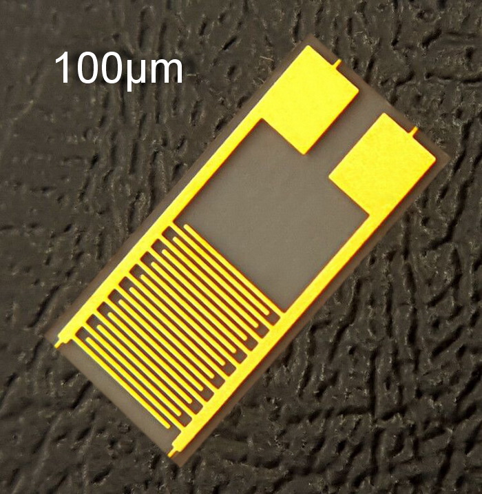 Elettrodi d'oro interdigitati flessibili da 100 micron Sensore di gas IDE PET Array di condensatori interdigitali Chip dispositivo indossabile Nuovo (5mm-10mm)