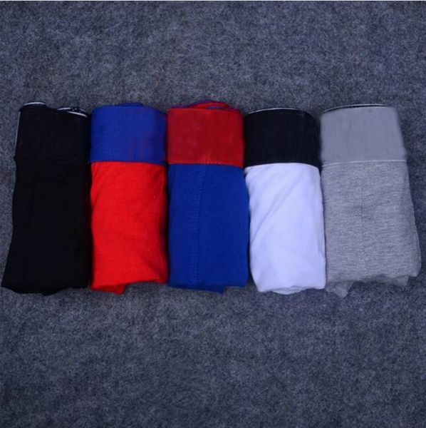 100% coton Nouveaux Hommes Boxer Shorts Pour Hommes Oiseau Mode Élégant Vogue Sexy Sous-Vêtements Casual Hommes Culottes Hommes Tronc Cueca Boxer M L XL XXL