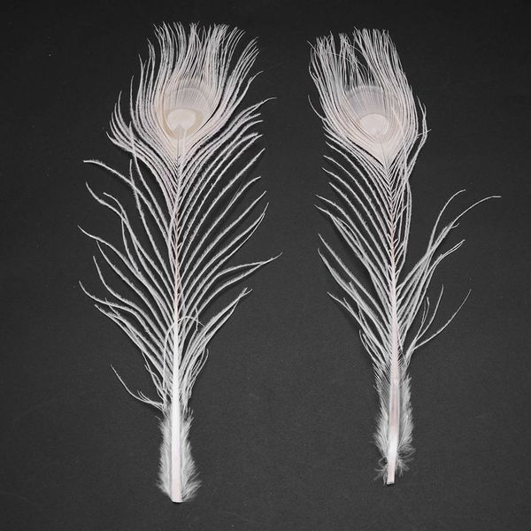 100 pcs / plumes de paon blanche naturelles dans les yeux, 10 à 12 pouces de la décoration de mariage de plumes de paon