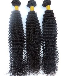 Cabelo humano não processado tece feixes de cabelo brasileiro kinky encaracolado tramas 8-34 polegadas peruano indiano mongol cambojano remy extensões de cabelo