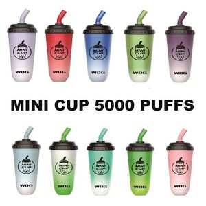 MIN CUP 6000 trekjes Wegwerp Vape Pen max cup 15 ml met 600 mah oplaadbare batterij VS 35 mg BANG BC 1.1ohm