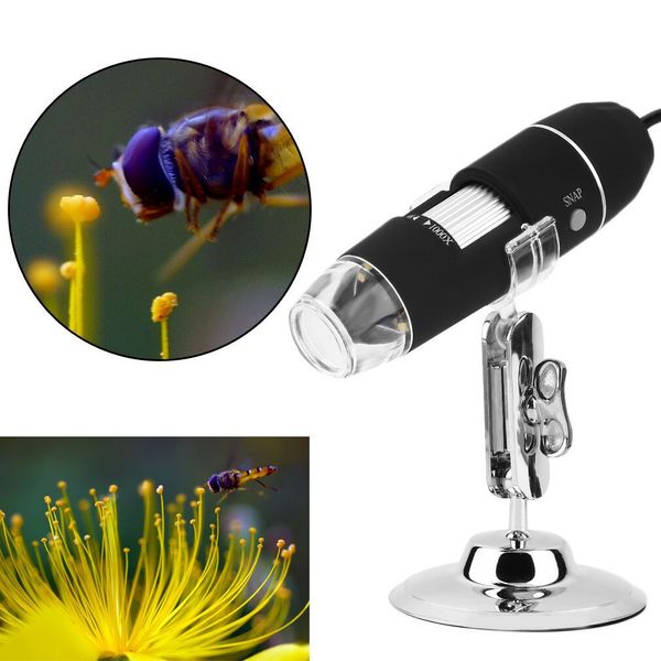1000 veces HD microscopio de mano USB microscopio electrónico microscopio digital