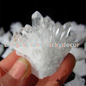 1000g Natural Raw Clear Quartz Gode Crystal Cluster Punten Willekeurige Maat Onregelmatige Witte Druzy Drusy Druse Gemstone Rocks Mineralen Specimens