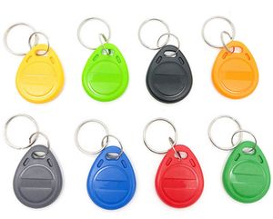 1000 pièces/lot étiquette RFID 125khz TK4100 jeton porte-clés étiquettes Rfid carte d'identité porte-clés pour le contrôle d'accès