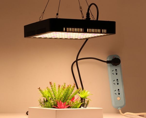 Luz LED de cultivo de espectro completo de 1000W, doble interruptor, lámpara de crecimiento de plantas roja y azul para tienda de plantas de interior, flores y verduras