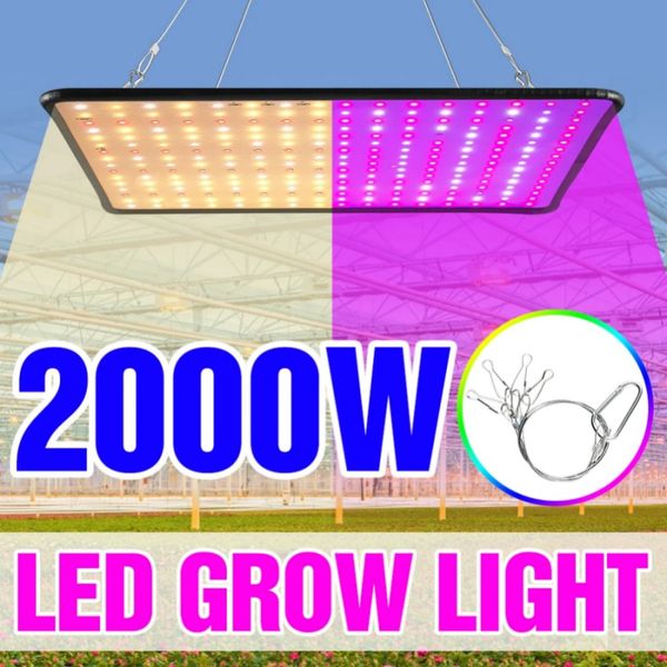 1000W élèvent la lumière LED lampe à spectre complet 1500W 2000W LED plante élèvent la lumière lampe de croissance plantes Phyto Veg fleur intérieur panneau ultra-mince Phytolamp