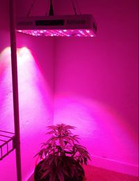 1000W LED Grow Light Binnen Gebruik Hoge kosteneffectieve COB-chips Volledige spectrum LED Grow Lights for Hydroponic Systems