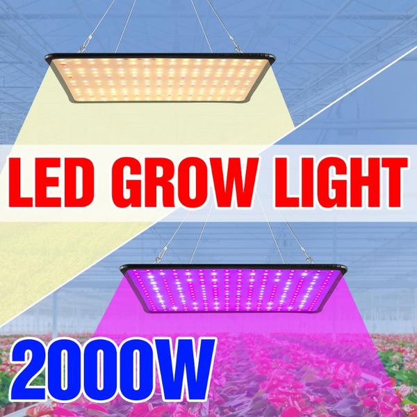 1000W Phyto lampe Led spectre complet élèvent la lampe 1500W Phyto lumière croissante 2000W Led plantes d'intérieur ampoules US EU UK Plug Fitolampy