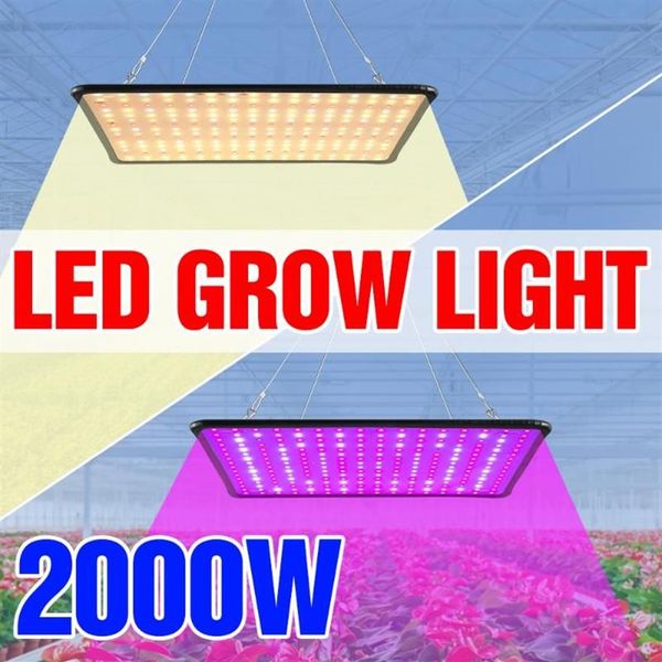 Lámpara de phyto LED de 1000W lámpara de cultivo LED 1500W Phyto Growing Light 2000W Plantas de interior LED Bulbos US EU UK Plug Fitolampy244R