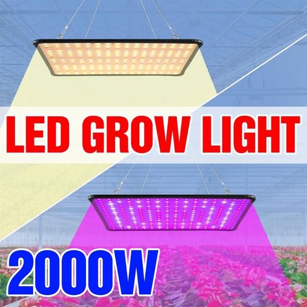 1000W Phyto lamp LED Spectrum complet LAMPLE CLUSE 1500W PHYTO CLUSION LUMIÈRE 2000W LED PLANTES INDOOR BUBB