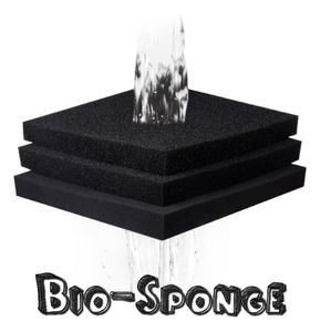 1001005cm Haile Aquatic Bio Sponge Filter Media Padt Cuttofit Mousse pour aquarium Pish Tank Koi Pond Porosité aquatique Y2009221132647