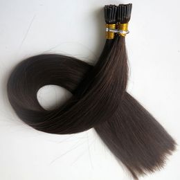 Pre Bonded I Tip Braziliaanse Human Hair Extensions 100g 100strands 18 20 22 24 inch # 2 / donkerste bruin rechte Indiase haarproducten