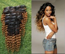 100g 9 PiecesSet Ombre 1B27 Brésilien Crépus Bouclés Clip Dans Les Extensions de Cheveux 100 Vierge Cheveux Humains2458378