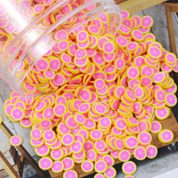 100g Fruits mélangés Slice Polymer Hot Argile Sprinkles Animaux Animaux Sprinkles for Crafts Diy Slime Ferming Accessoires Nail Art 5 mm