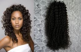 100g Extensions de cheveux humains de couleur naturelle crépus bouclés micro boucle 100 indiens vierges Remy cheveux humains 1g micro extensions de perles4370485