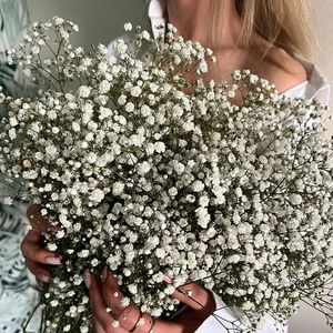 100g Natuurlijke Gedroogde Gypsophila Bloem Baby Adem Boeketten Bloemen Gypsophila Takken voor Home Decor Bruiloft Garland Decoratie 240301